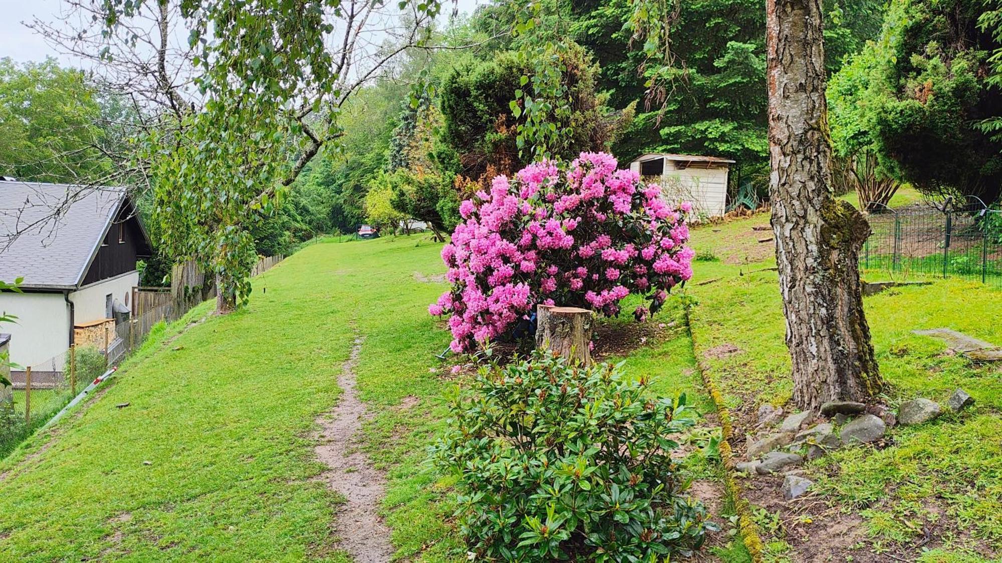 Sessles Waldhaeusschen Dietzhausen Suhl Exterior foto