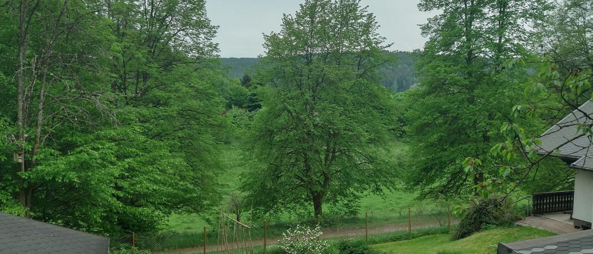 Sessles Waldhaeusschen Dietzhausen Suhl Exterior foto